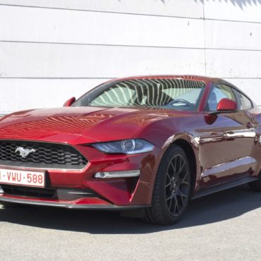 mustang-1 (1)