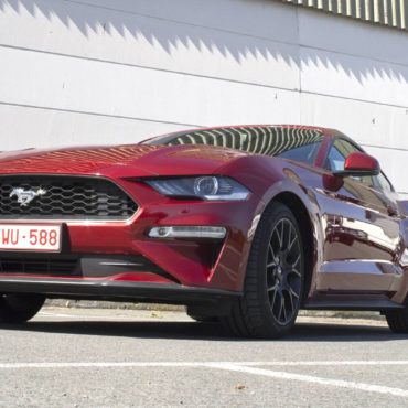mustang-2 (1)