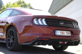 mustang-5 (1)